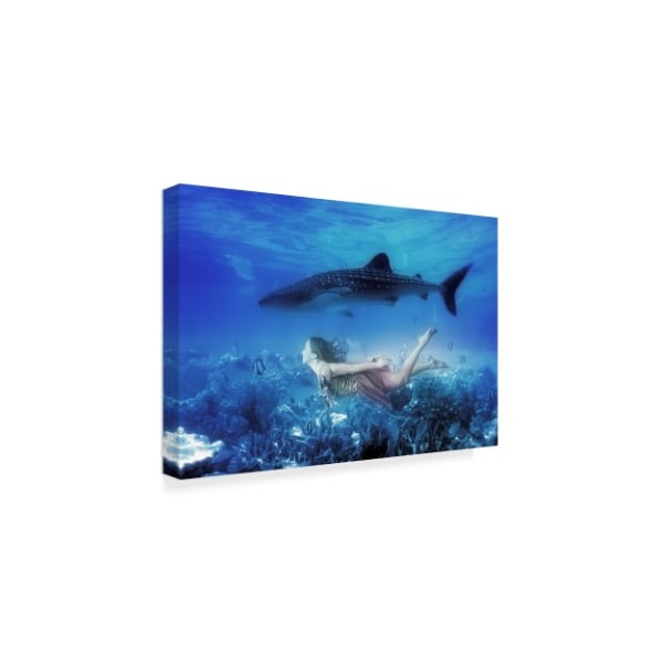 Ata Alishahi 'Swim With Tiger Shark' Canvas Art,30x47